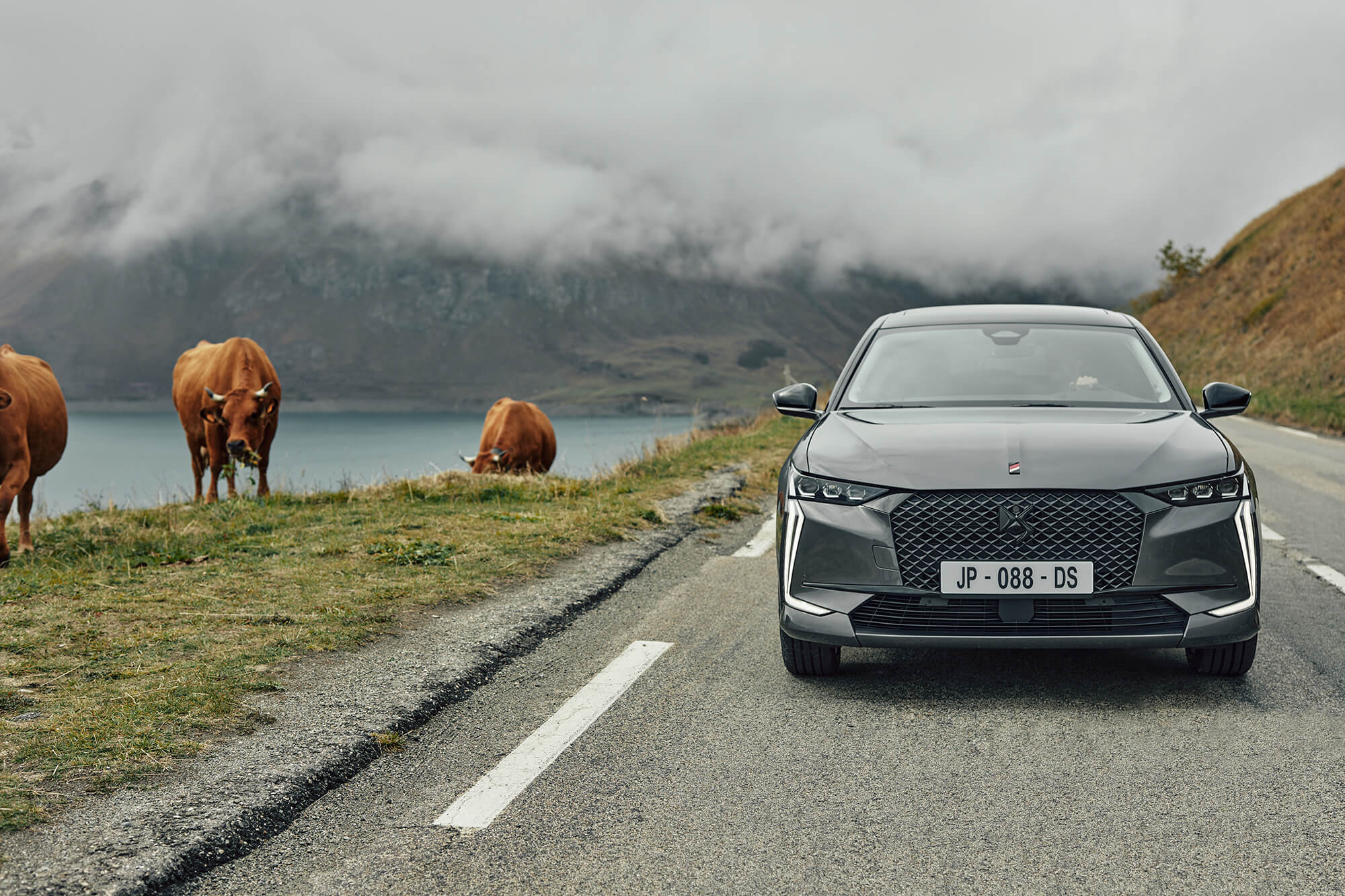 【未開封】 NOREV DS4 PERFORMANCE LINE 2021 Amazon | ノレブ 1/43 DSオートモービル DS4 パフォーマンス